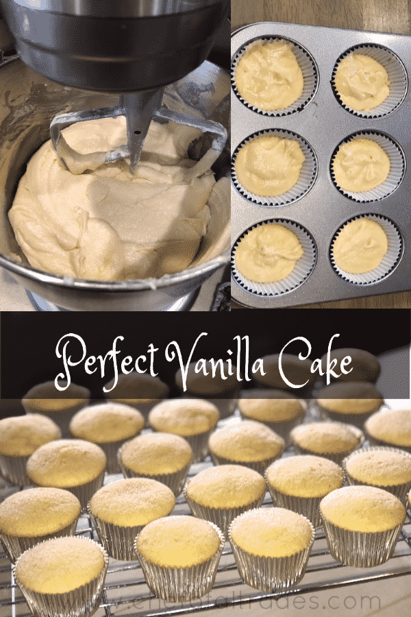 Perfect Vanilla Cake - Desserts - Chef of All Trades