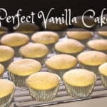 Vanilla cupcakes on a cooling rack