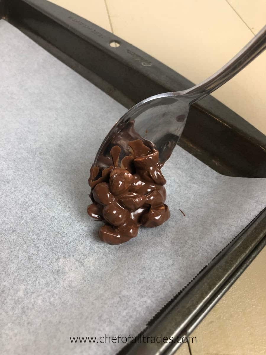 peanuts and melted chocolate